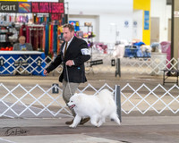 20240328-DSC02271