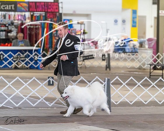 20240328-DSC02271