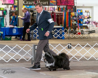 20240328-DSC02289