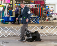 20240328-DSC02290
