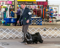 20240328-DSC02291