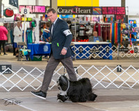 20240328-DSC02295