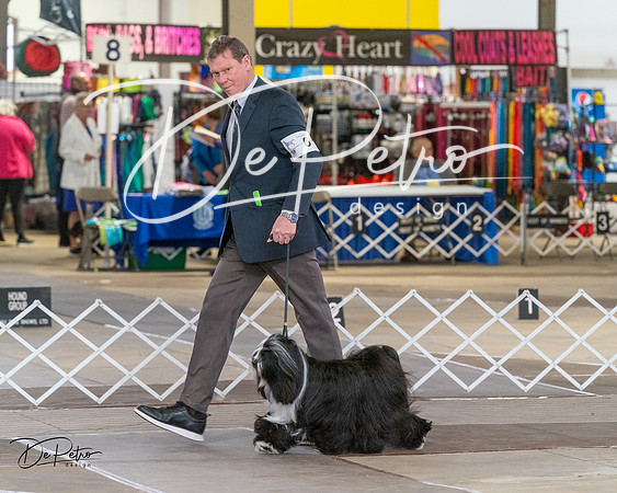 20240328-DSC02295