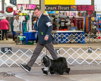 20240328-DSC02296