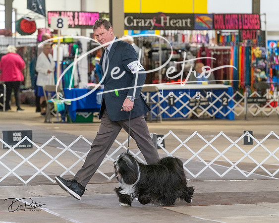 20240328-DSC02296