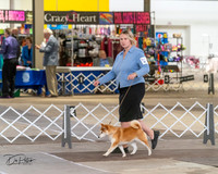 20240328-DSC02300