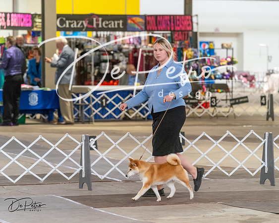 20240328-DSC02300