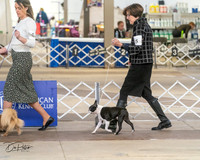 20240328-DSC02309