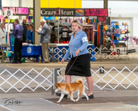 20240328-DSC02304