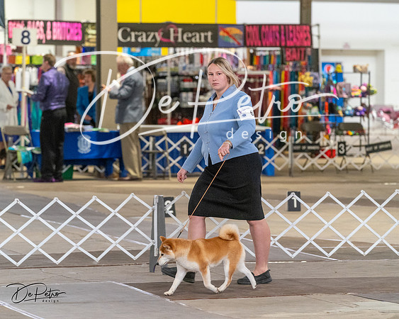 20240328-DSC02304