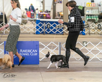 20240328-DSC02312