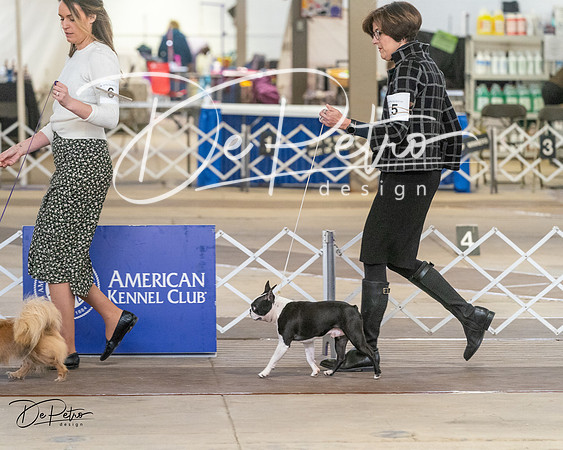 20240328-DSC02312