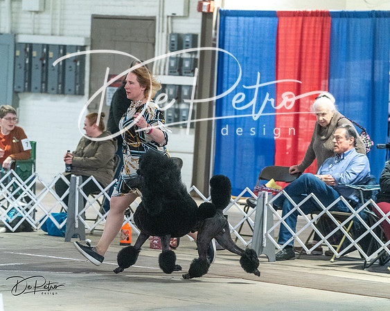 20240328-DSC02331