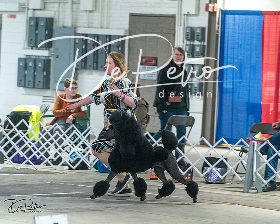 20240328-DSC02335