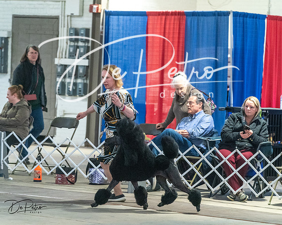 20240328-DSC02326