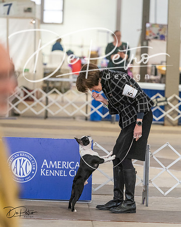 20240328-DSC02350