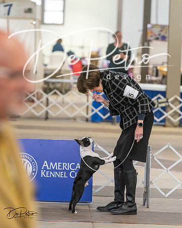 20240328-DSC02351