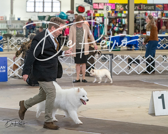 20240328-DSC02364