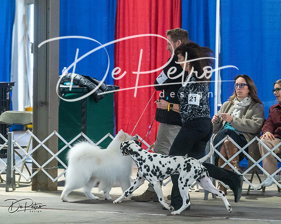 20240328-DSC02382