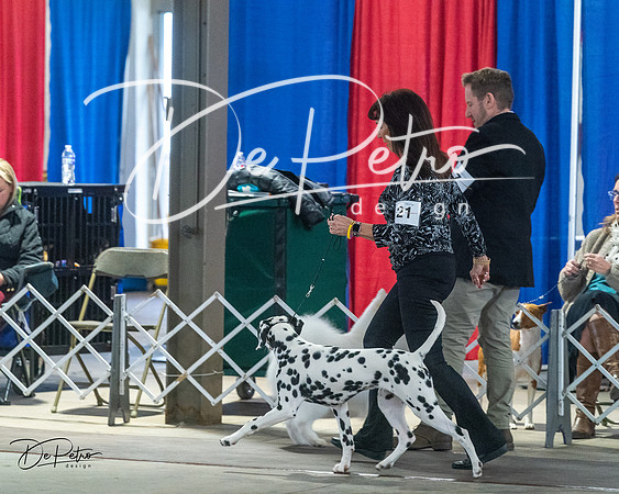 20240328-DSC02386