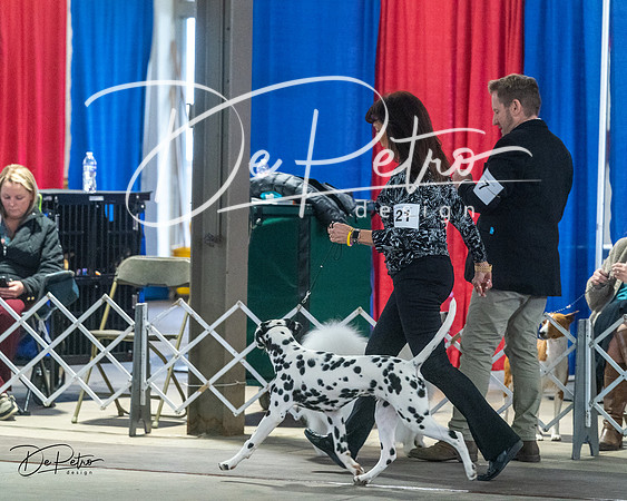 20240328-DSC02387