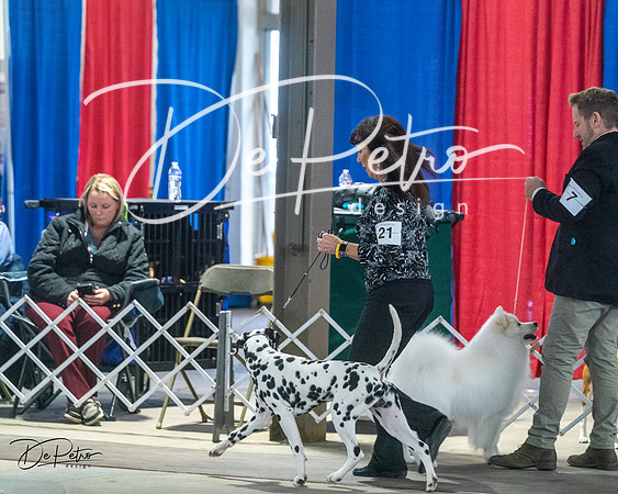 20240328-DSC02391