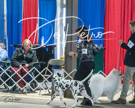 20240328-DSC02392