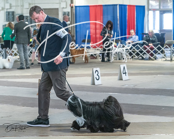 20240328-DSC02397