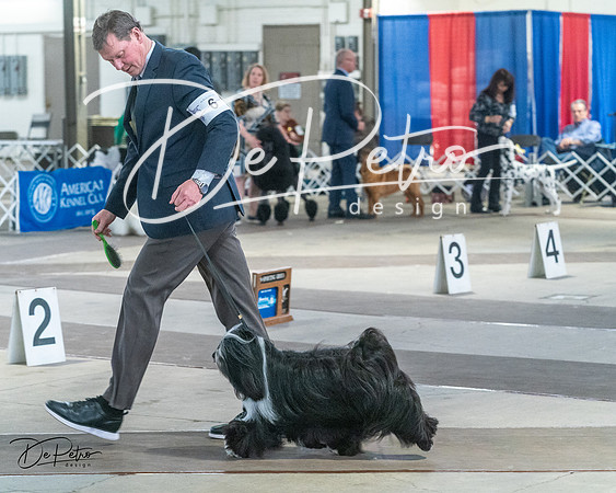 20240328-DSC02402