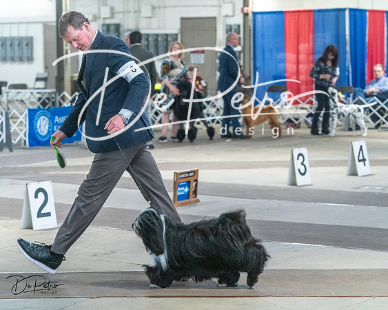 20240328-DSC02403