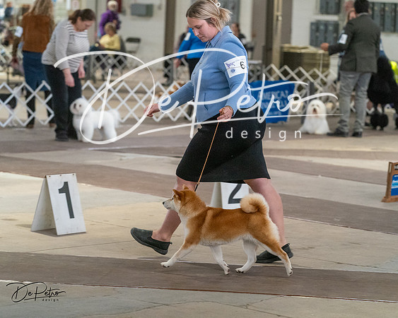 20240328-DSC02425