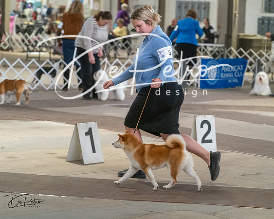 20240328-DSC02428