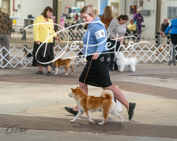 20240328-DSC02435