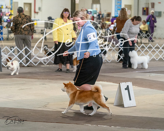 20240328-DSC02438