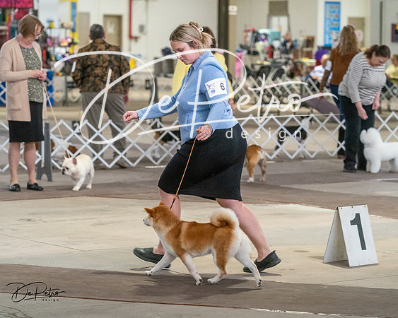 20240328-DSC02441