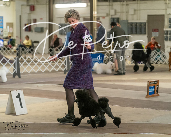 20240328-DSC02464