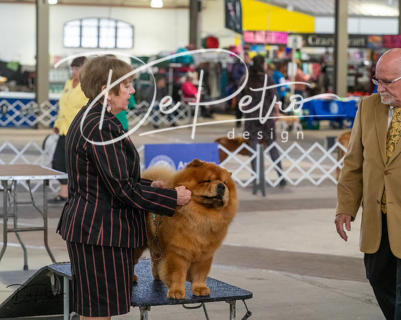 20240328-DSC02486