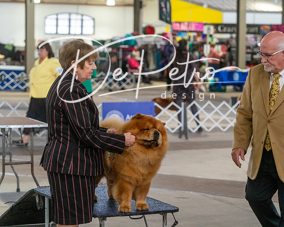 20240328-DSC02489