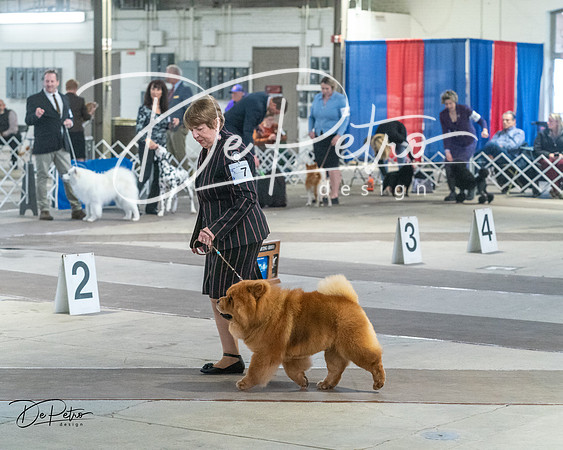 20240328-DSC02494