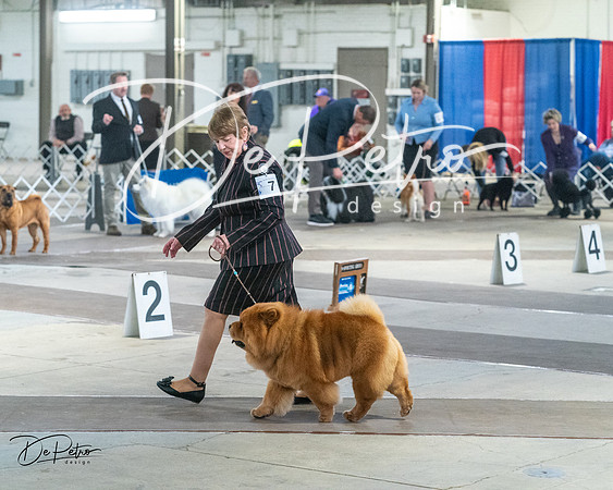 20240328-DSC02497
