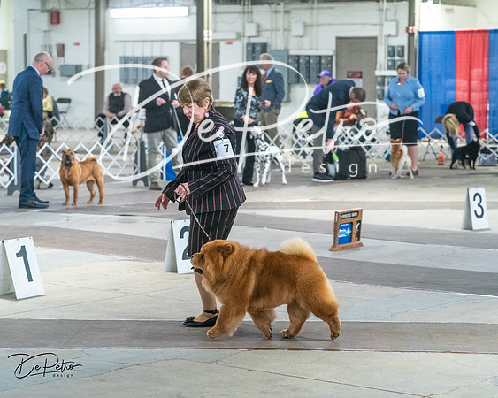 20240328-DSC02501