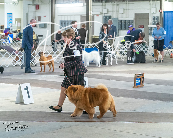 20240328-DSC02505