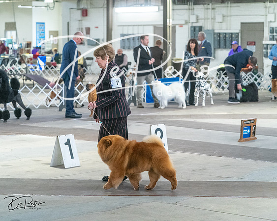 20240328-DSC02508