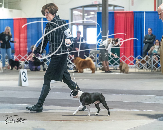 20240328-DSC02545