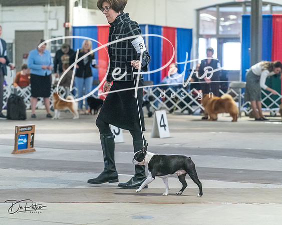 20240328-DSC02551