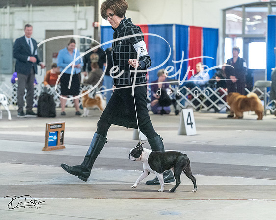 20240328-DSC02554