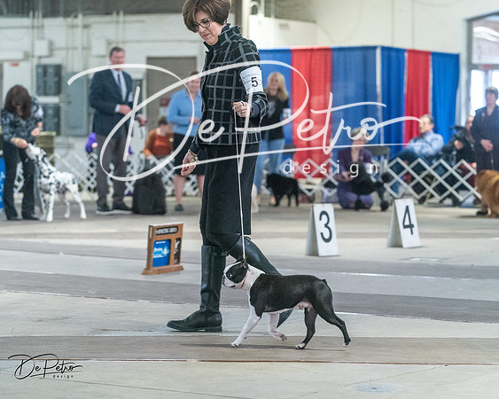 20240328-DSC02558