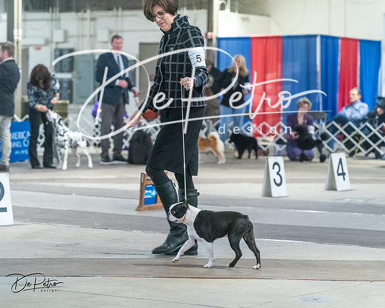 20240328-DSC02560