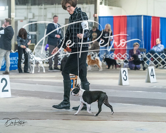 20240328-DSC02561