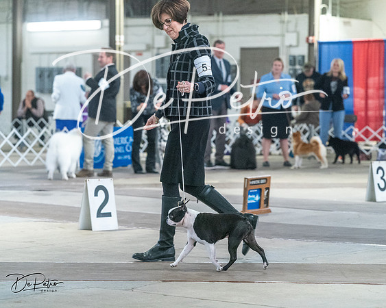 20240328-DSC02567